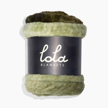 Retro Green Ombre