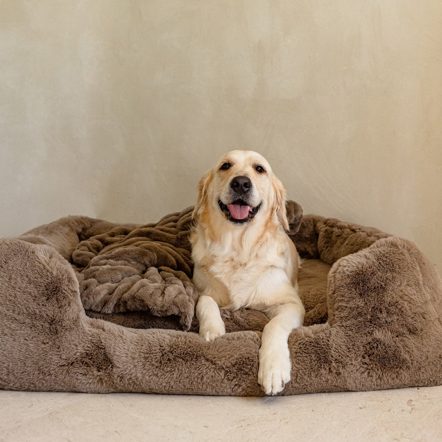 The Lola Pet Bundle